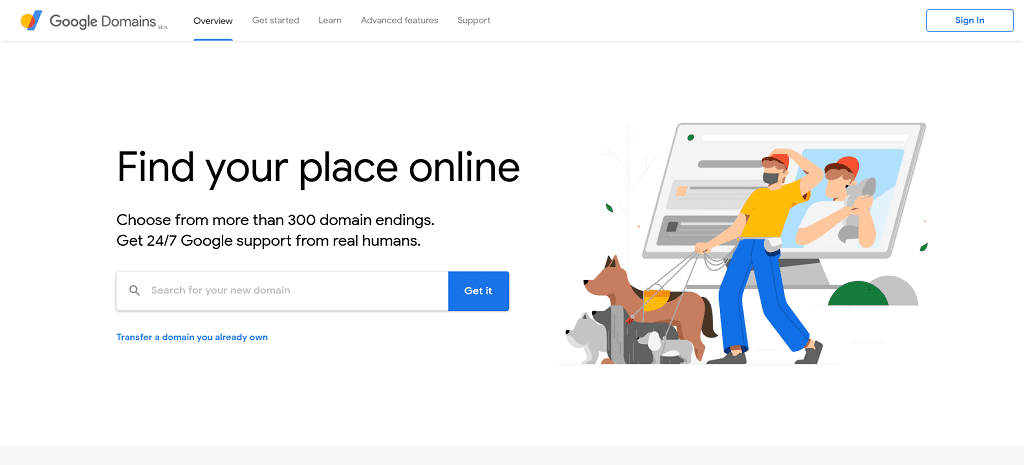 Google domain